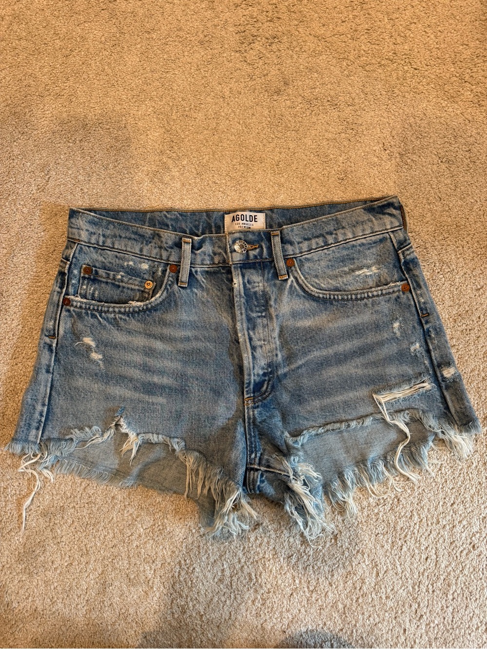 Agolde Distressed Denim Cutoff Shorts in Swapmeet